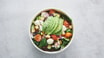 Season Green Salat
